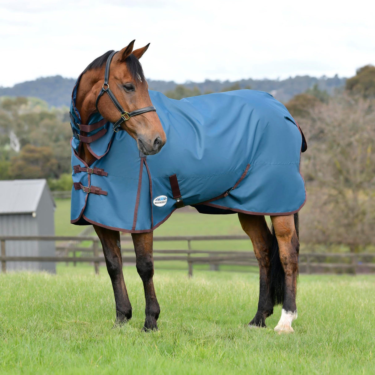 Weatherbeeta ComFiTec Classic Combo Neck Heavy Turnout Rug #colour_dark-blue-coffee