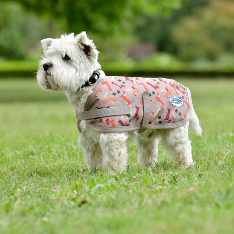 Weatherbeeta Comfitec Essential Dog Coat #colour_dachshund-print