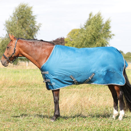 StormX Empra 50g Turnout Rug #colour_teal