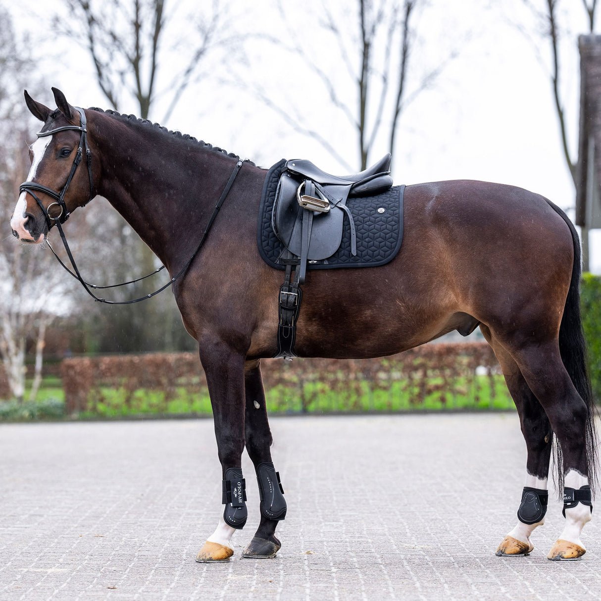 HV Polo Essential Dressage Saddle Pad #colour_black