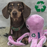 Ancol Made From Recycled Cuddler Dog Toy #style_octopus