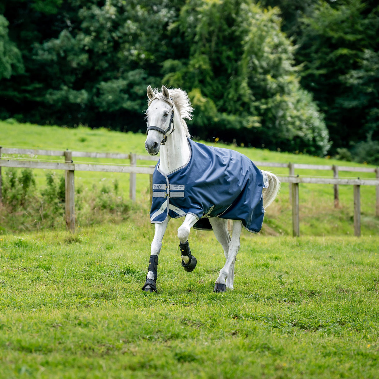 Horseware Ireland Amigo Bravo 12 Original 50g Lite Turnout Rug #colour_navy-titanium-grey-silver