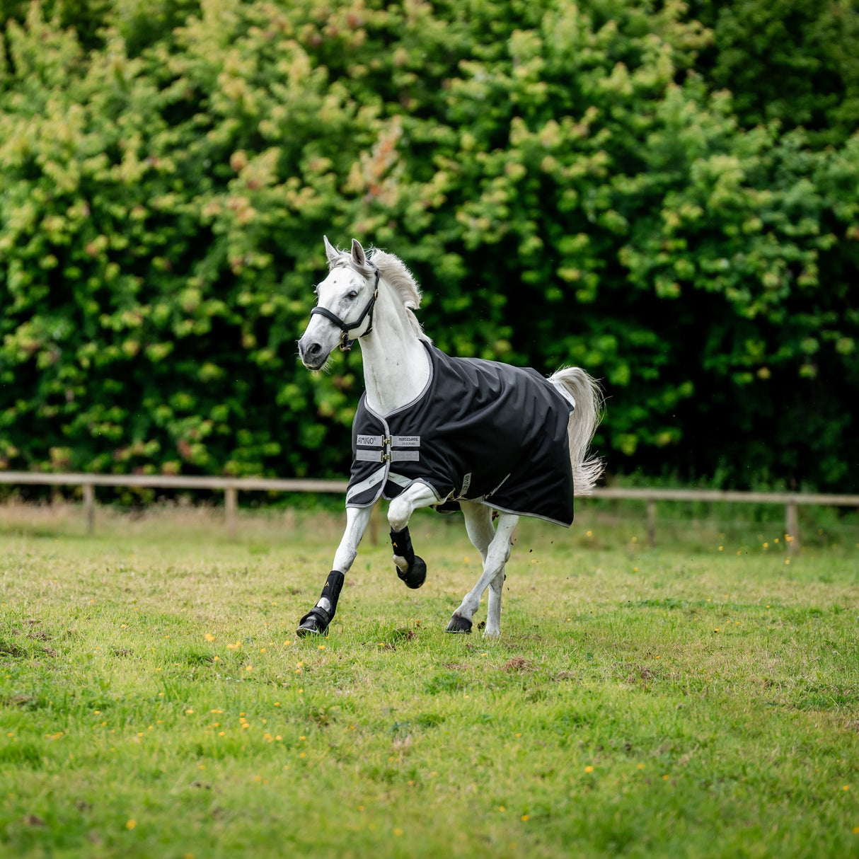 Horseware Ireland Amigo Bravo 12 Original 0g Lite Turnout Rug #colour_black-titanium-grey-silver