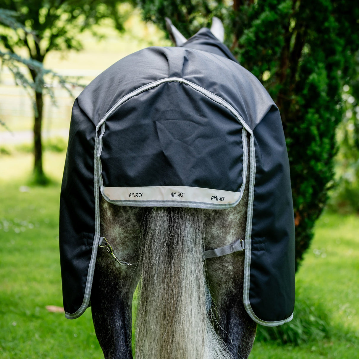 Horseware Ireland Amigo Bravo 12 Plus 250g Medium Turnout Rug #colour_black-titanium-grey-silver