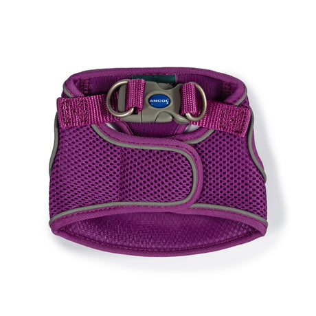 Ancol Viva Step-In Harness #colour_purple