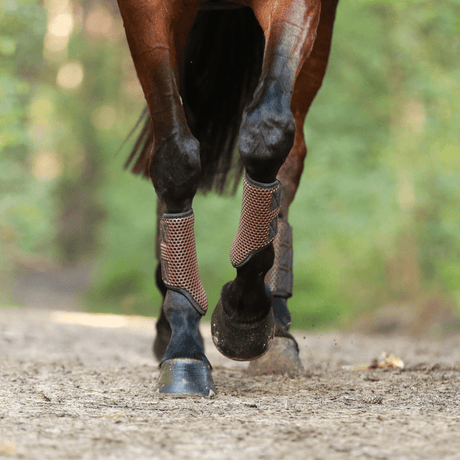 Equilibrium Tri Zone Brushing Boots #colour_brown