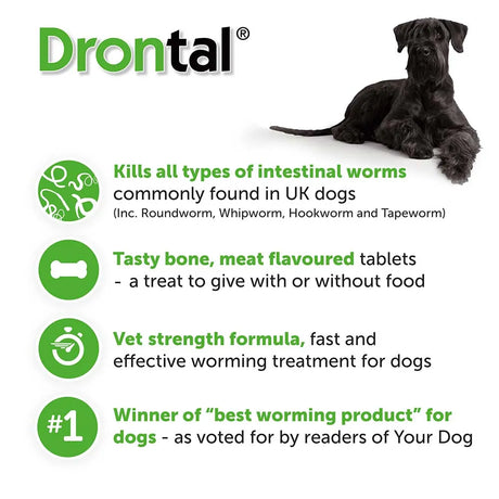 Drontal Dog Tasty Bone XL