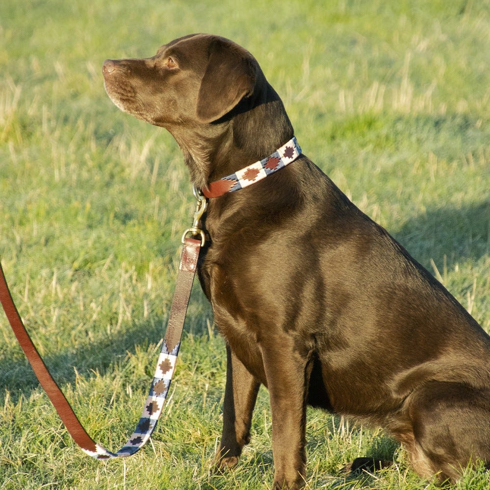 Benji & Flo Sublime Polo Leather Dog Lead #colour_navy-rose