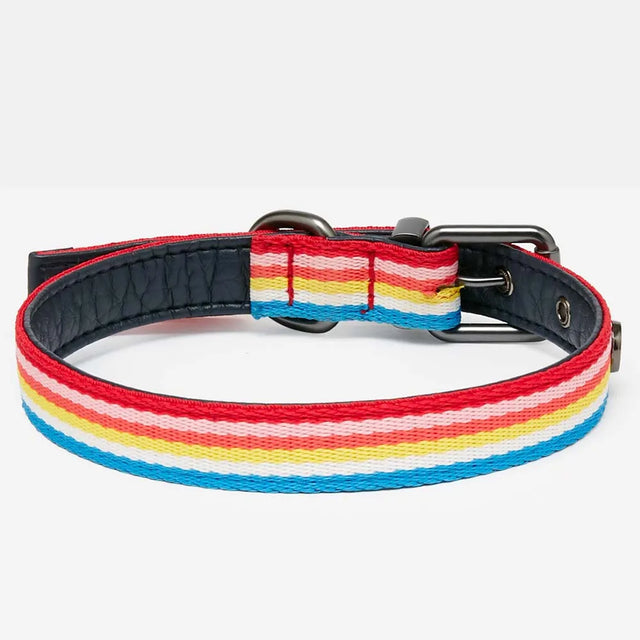 Joules Rainbow Stripe Dog Collar