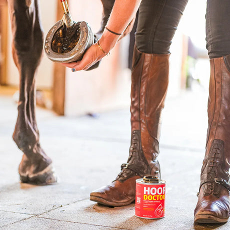 Equine One Hoof Doctor