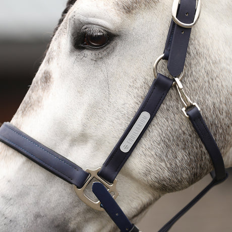 Equilibrium Stellar All-Weather Safety Headcollar #colour_navy