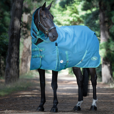 Weatherbeeta Green-Tec 1200D Detach-A-Neck Lite Plus Turnout Rug #colour_dragonfly-blue-bottle-green