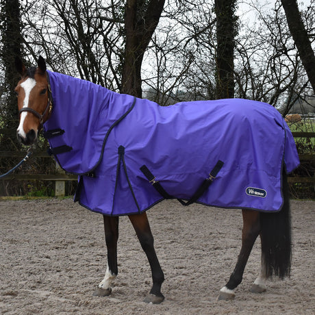 Whitaker Rastrick 0g Combo Turnout Rug #colour_purple