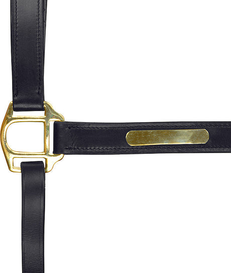 Norton Club Head Collar With Double Ajustment #colour_black