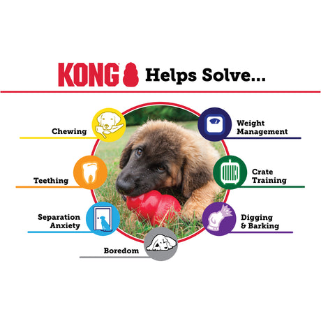 KONG Puppy  #size_m