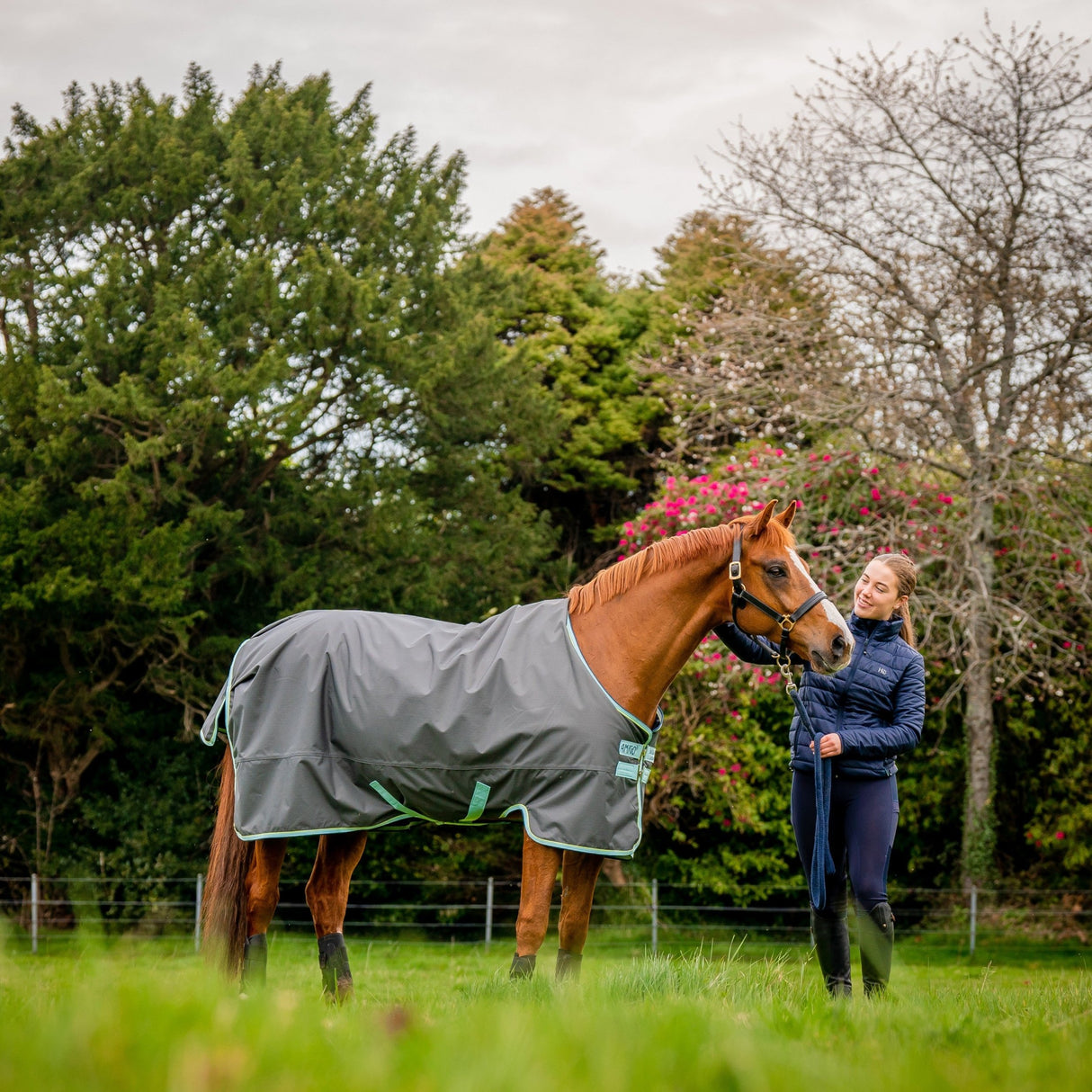 Horseware Ireland Amigo Hero 600D with Ripstop 50g #colour_shadow-blue-haze-navy