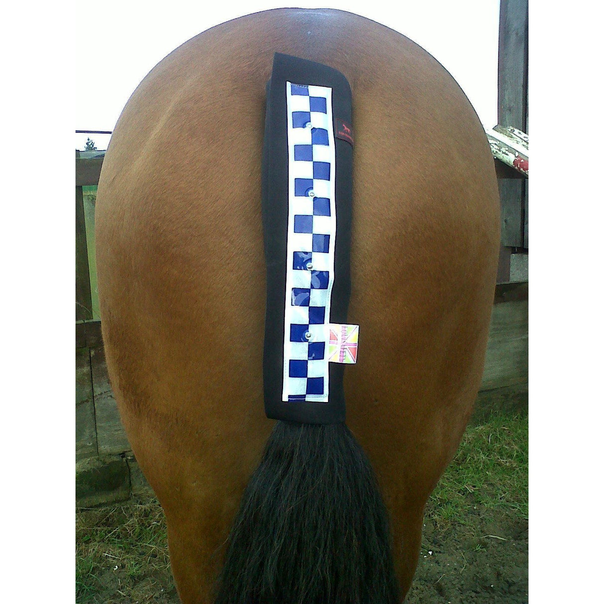 Equisafety Polite Led Tail Guard