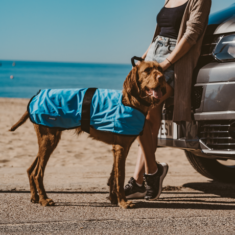 Weatherbeeta Therapy-Tec Cooling Dog Coat #colour_light-blue