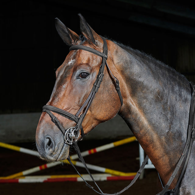 Whitaker Ready To Ride Flash Bridle #colour_black