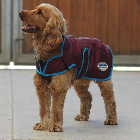 Weatherbeeta Comfitec Windbreaker Free Parka Deluxe Dog Coat #colour_grape-purple-blue