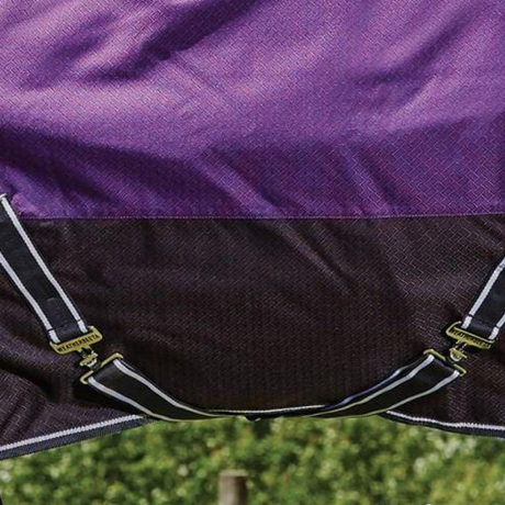 Weatherbeeta Comfitec Plus Dynamic Standard Neck Medium Lite #colour_purple-black